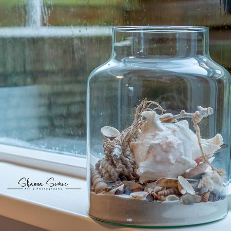 Carpe Diem Egmond Aan Zee By Urban Home Stay المظهر الخارجي الصورة