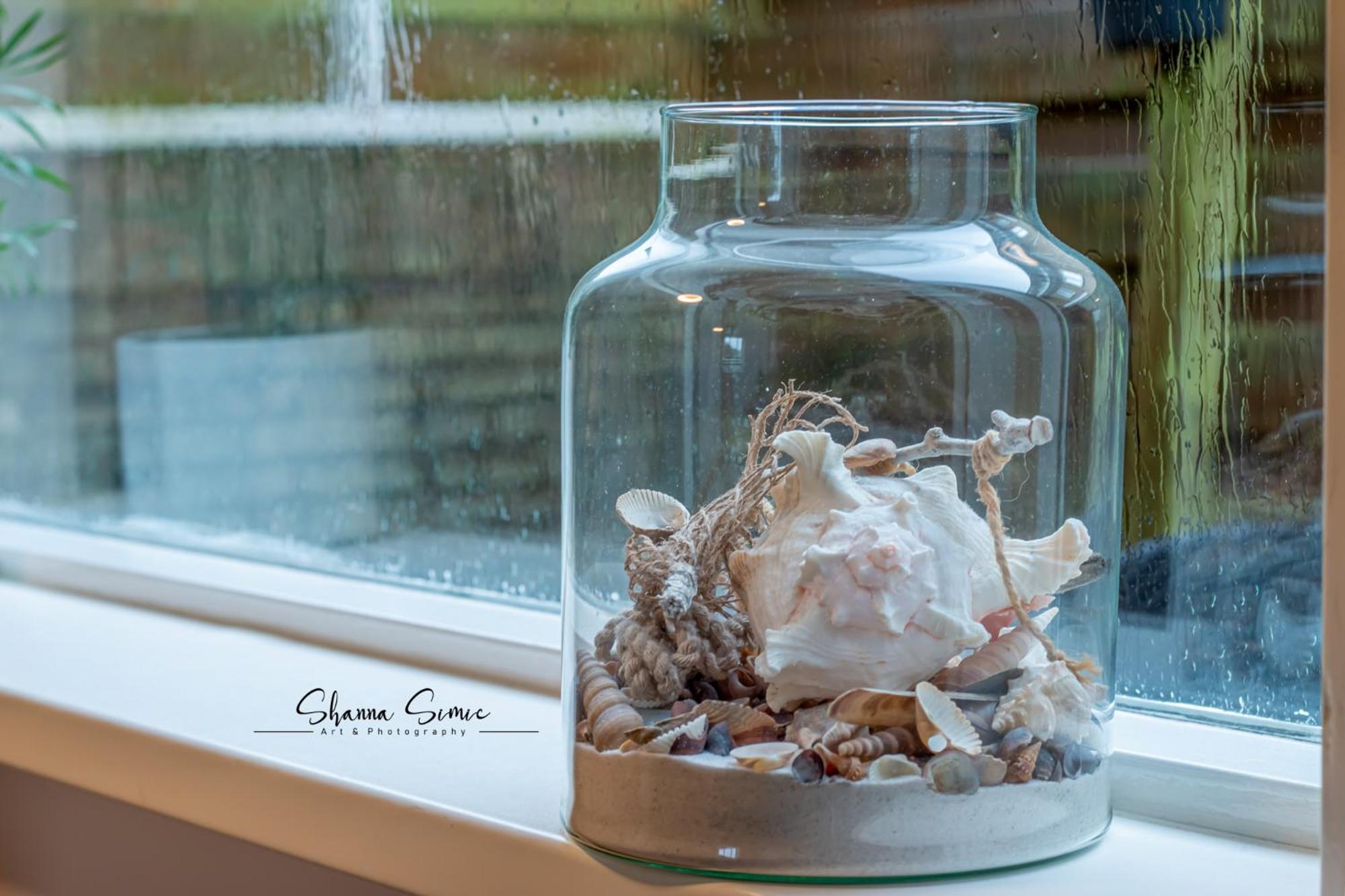 Carpe Diem Egmond Aan Zee By Urban Home Stay المظهر الخارجي الصورة